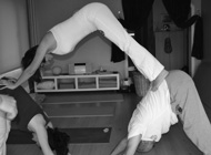 Teorik ve Pratik Yoga Semineri